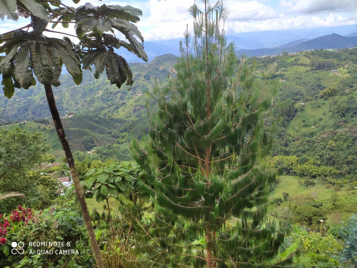 Mirador Finca Morrogacho La Linda Exterior foto